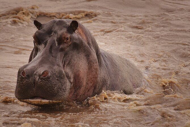 4 Days Tanzania Safari - Service quality: guides like Sallu and the SG Tours approach