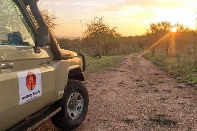 4 Days Tanzania Safari Experience - Day 2 Serengeti: late arrival, then sunset game drive in Seronera