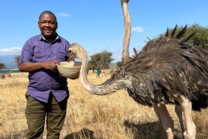 4 Days Tanzania Safari Tarangire, Serengeti and Ngorongoro Crater - Food, timing, and camping-style nights (included is a big deal)