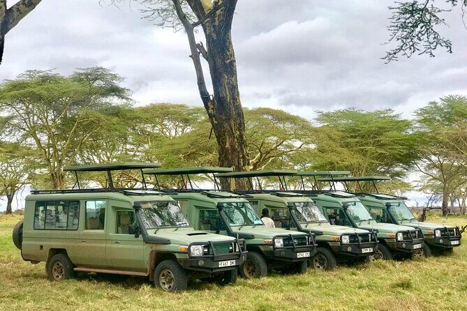 4 Days Tanzania Safari Tour - Ngorongoro Crater: a long day, a hot lunch stop, and wildlife density that hits hard