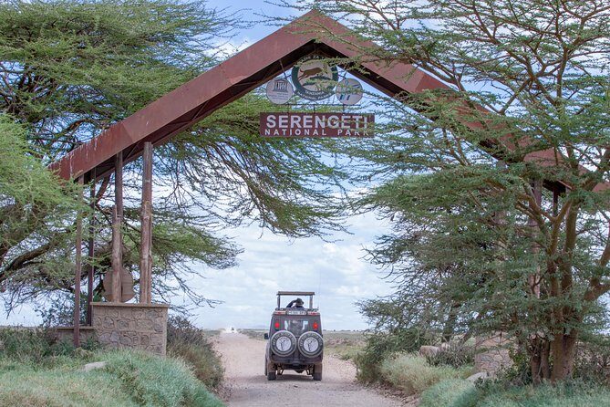 4 Days Tarangire , Ngorongoro ,Manyara and lake Eyasi village - Tarangire National Park: elephants, pythons, and baobabs that look prehistoric
