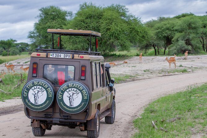 4 Days Tarangire , Ngorongoro ,Manyara and lake Eyasi village - Ngorongoro Crater day: big-five odds in a 600-meter bowl