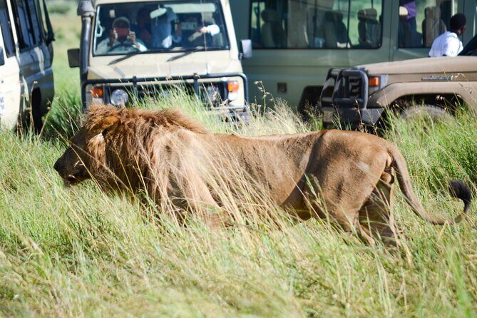 4 Days Tarangire ,Serengeti &Ngorongoro crater group Tour - Day 2 to Serengeti: rift valley route and an optional Masai village stop