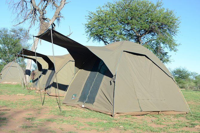 4 Days Tarangire ,Serengeti &Ngorongoro crater group Tour - Day 3: Serengeti at 06:00, then on to Ngorongoro