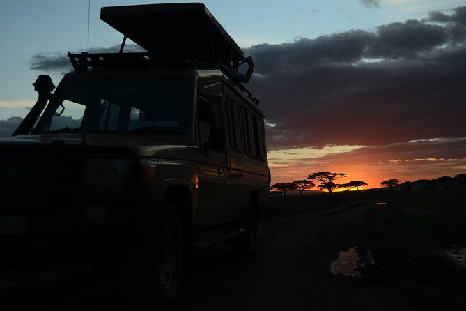 4 Days Tarangire ,Serengeti &Ngorongoro crater group Tour - Day 4: Ngorongoro Crater descent for half-day wildlife concentration