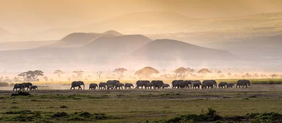 4 Days Tarangire, Serengeti, Ngorongoro Mid-range Safari - Key highlights I’d plan around