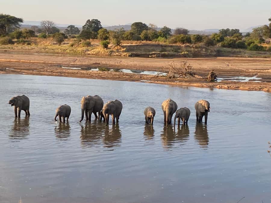 4 Days Tarangire, Serengeti, Ngorongoro Mid-range Safari - What to pack and how to avoid common safari mistakes