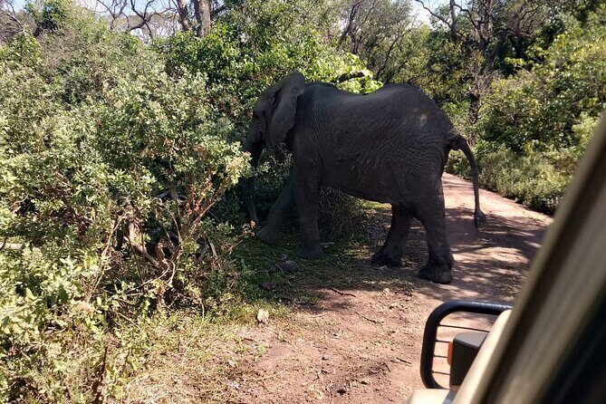 4-Days Tour to Tanzania National parks - Serengeti Game Drives: Two Chances to Catch the Right Moment