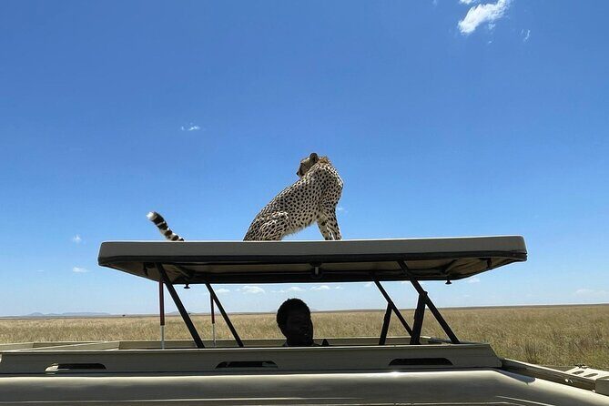 4 Days:tanzania Budget Safari - Price and logistics: what $1,887.18 buys you (and what it doesn’t)