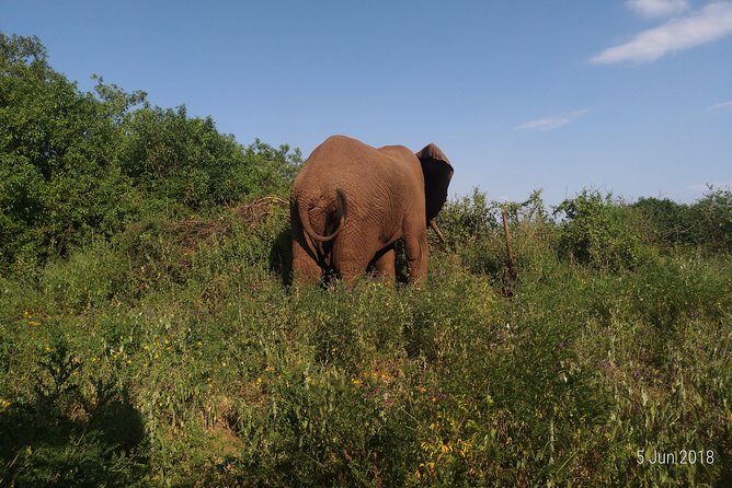 4day's Safari - Communication That Lowers Stress: WhatsApp and WeChat