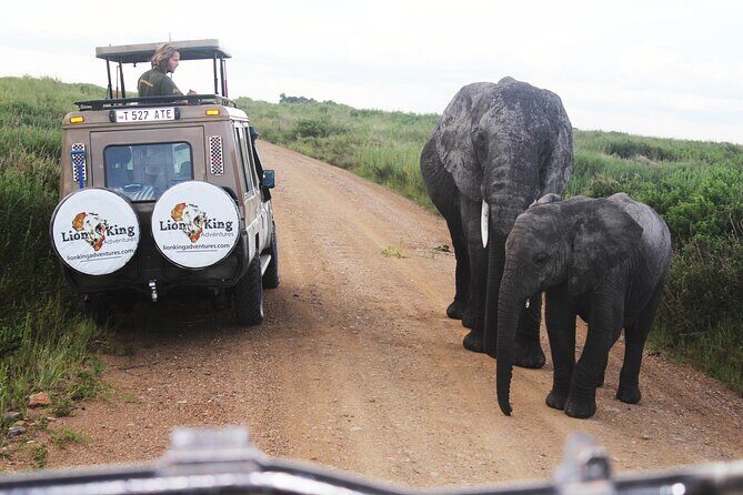 5-Day Highlights mid-Range Crater, Serengeti, Tarangire - Tarangire National Park: elephants, baobabs, and a picnic on wheels