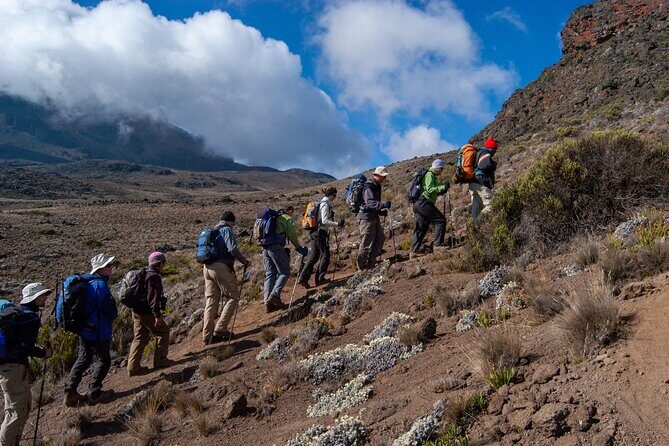 5 Day Mount Kilimanjaro Climbing via Marangu Route - Day 2 from the rainforest to Horombo: heathland, Mawenzi views, and colder nights