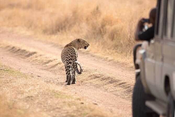 5-Day Private Camping Tour to Serengeti, Ngorongoro & Tarangire - Why this Arusha-to-three-parks route makes sense