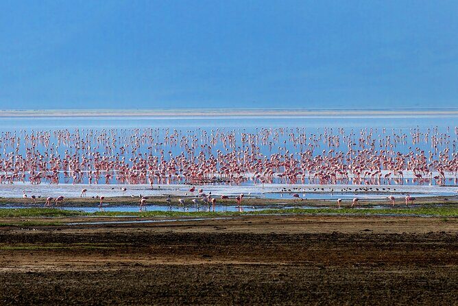 5-Day Private Camping Tour to Serengeti, Ngorongoro & Tarangire - The move toward Serengeti via Ngorongoro viewpoints