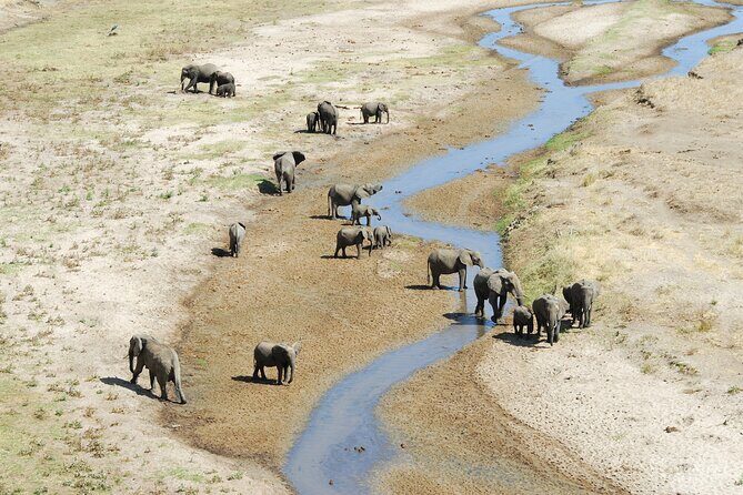 5-Day Private Camping Tour to Serengeti, Ngorongoro & Tarangire - Day 5 in Ngorongoro: descending 600 meters and hunting for black rhino