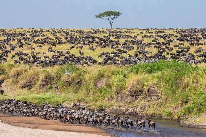 5-Day Private Camping Tour to Serengeti, Ngorongoro & Tarangire - Camping life on safari: what’s included, what to plan for