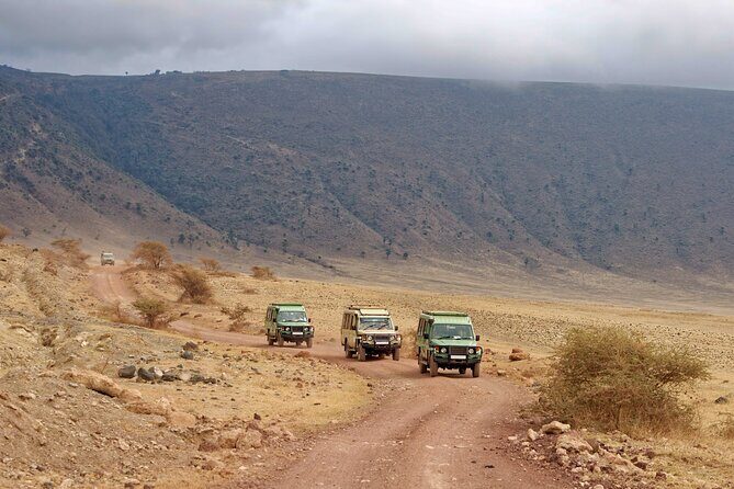 5-Day Private Camping Tour to Serengeti, Ngorongoro & Tarangire - Day 1 in Tarangire: baobabs, pythons, and elephant herds
