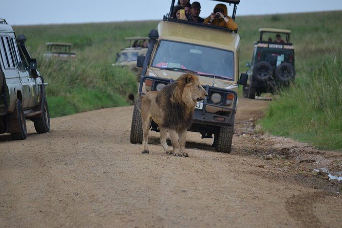 5 Day Private Lodge & Camping Tour of Tarangire, Serengeti & Ngorongoro Crater - Key highlights you’ll actually care about