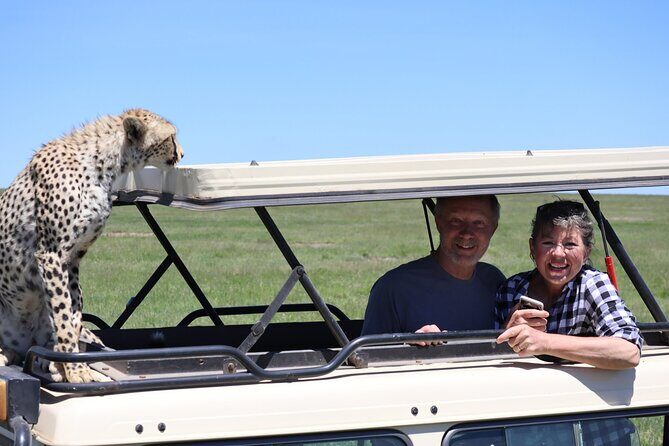5-Day Private Safari in The Serengeti with Accommodation - Optional Masai village visit: worth considering, but choose your expectations