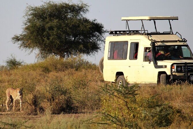 5-Day Private Safari Tour in Tanzania's Wildlife - Day 3 in Serengeti: long game drive time for hippos, crocs, and birds