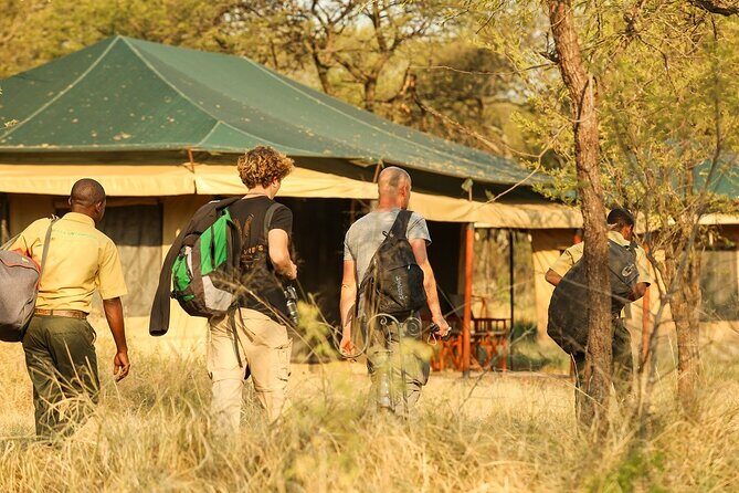 5-Day Private Safari Tour in Tanzania's Wildlife - The guides and organization that make a safari feel calm