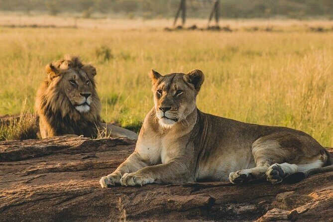 5-Day Private Tour in Mikumi National Park and Udzungwa Mountain - Why Mikumi beats the crowded-safari feeling