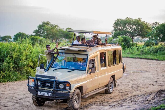 5-Day Private Tour in Mikumi National Park and Udzungwa Mountain - Getting your money’s worth from a $1,150 private safari