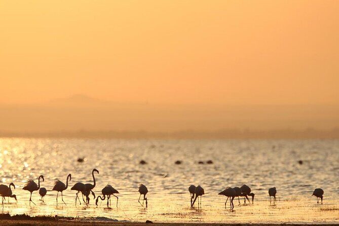 5 Day: Scenic Northern Circuit Safari - Day 2 Serengeti: first contact with the horizon that changes your sense of distance