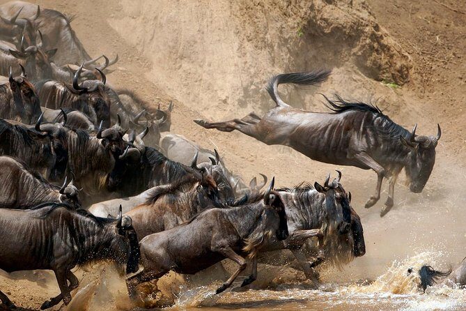 5 Days / 4 Nights Join group safari - Tarangire to Serengeti: going from “starter park” to full focus