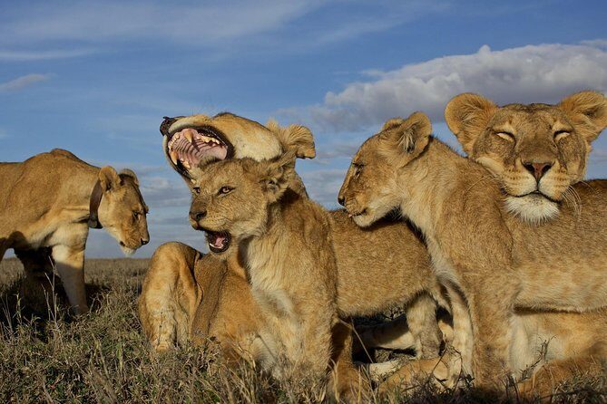5 Days / 4 Nights Join group safari - Lake Manyara: a satisfying finish in a different kind of setting