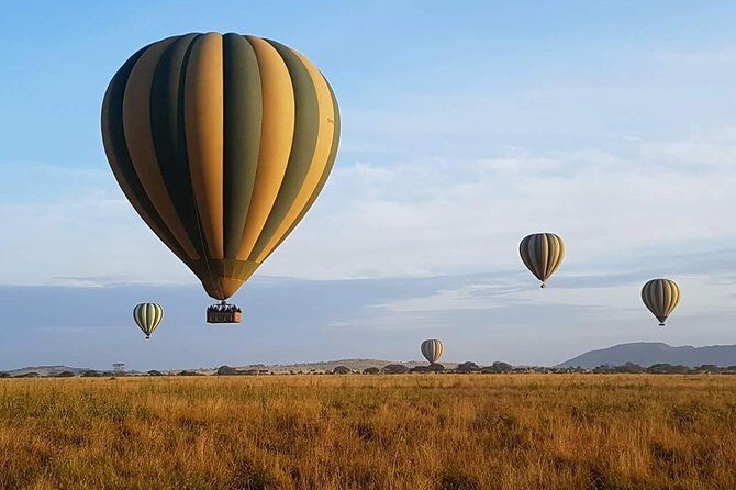 5 Days African Safaris - Ngorongoro Crater: game viewing in a natural bowl