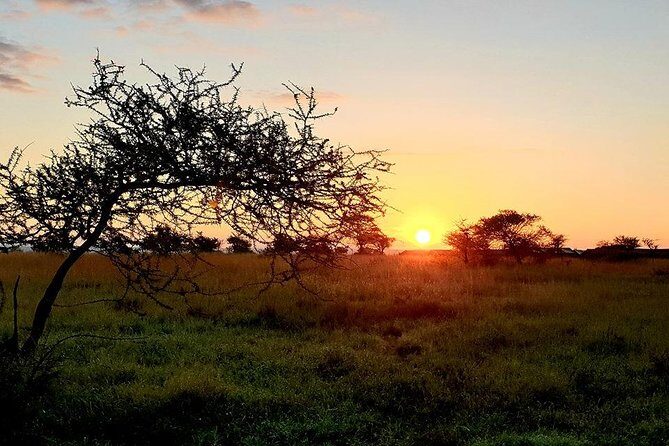 5 Days African Safaris - How the game drives really work: unlimited mileage and less wasted time