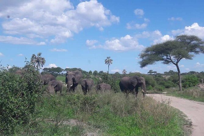 5 Days African Safaris - Price and logistics: does $2,588.15 feel fair?