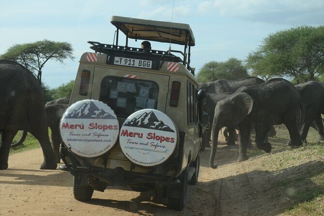 5 Days Best of Northern Circuit Budget Safari in Tanzania - The Northern Circuit hits the big Tanzania checklist in 5 days