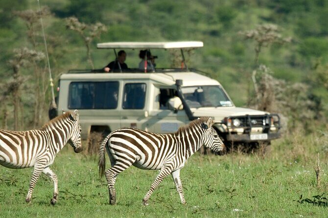 5 Days Budget Safari in Tanzania - Getting to safari mode from Arusha (and why the timing matters)