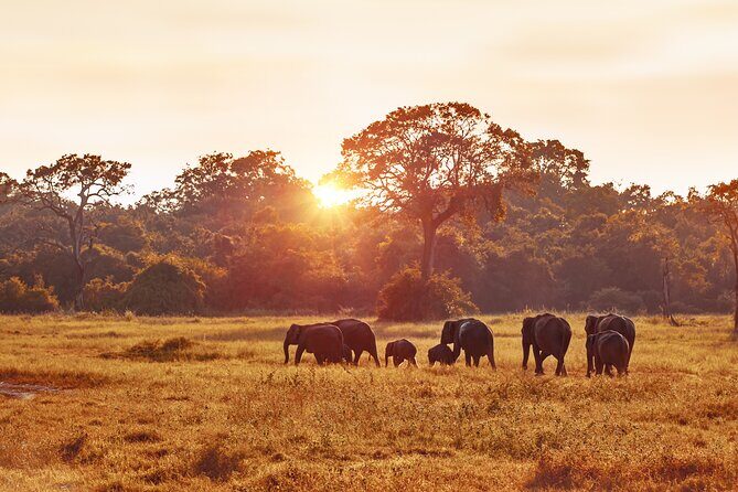 5 Days Budget Safari in Tanzania - Comfort, group size, and how the vehicle experience affects your day