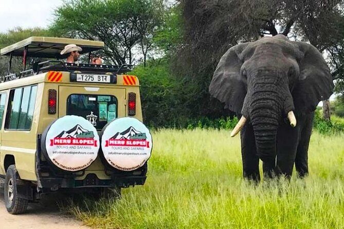 5 Days Camping Tarangire, Serengeti & Ngorongoro crater & Visiting Maasai - Mto wa Mbu village stop: seeing Tanzania beyond the wildlife gates