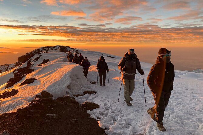 5 Days Classic Kilimanjaro Climb via Marangu route - Day 2: Timberline, heath and moor, and Horombo Hut at 3700m
