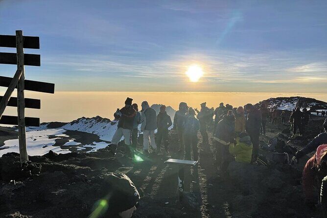 5 Days Classic Kilimanjaro Climb via Marangu route - Day 5: Descent through heath and rainforest back to the Marangu gate