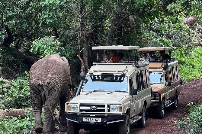 5-Days Lake Manyara, Serengeti, Ngorongoro Crater and Tarangire - Day 1: Lake Manyara’s Acacia Forests, Picnic Lunch, and Lion Luck