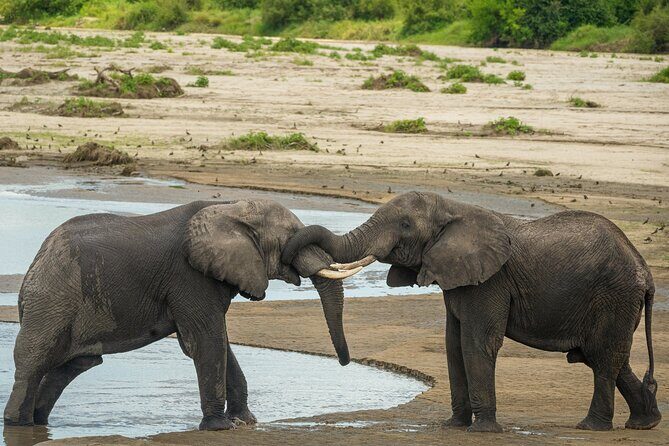 5 Days Lodge Luxury: A Taste of Tanzania Safari - Your Lodge Between Drives: Views Over Lake Manyara and Ngorongoro