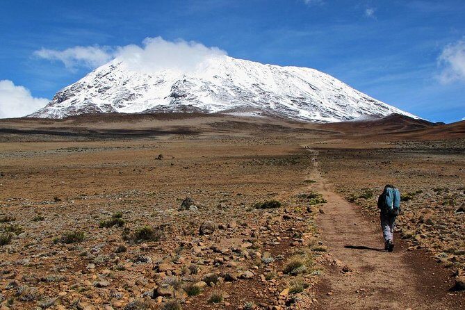 5 Days Marangu Route Kilimanjaro Trekking - Marangu Route: the hut-based Kilimanjaro that’s popular for a reason