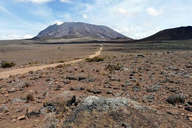 5 Days Marangu Route Kilimanjaro Trekking - Day 1: Moshi to Marangu Gate, rainforest to Mandara Hut (8.3km)