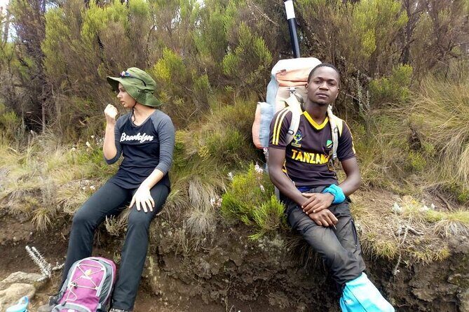 5 Days Marangu Route - Mount Kilimanjaro Trek - Climbing to Horombo Hut: timberline, heath, and 3,700m altitude reality