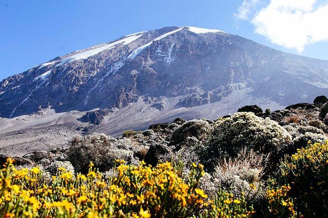 5 Days Marangu Route - Mount Kilimanjaro Trek - Summit night to Uhuru Peak: midnight start, Hans Meyer Cave, and sunrise at 5,681m