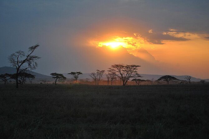 5 Days Northern Tanzania Safari- Lodging - Mto wa Mbu cultural day: adding people to the safari story