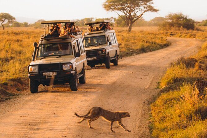 5-Days Private Midrange Safari: Serengeti, Ngorongoro & Manyara - Price and value: what $2,586.49 buys in the real world