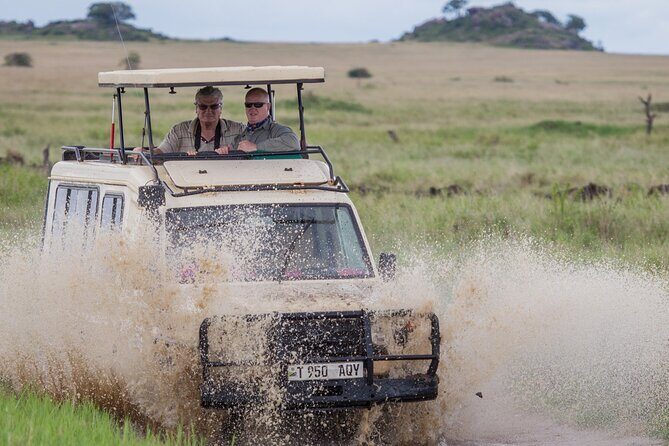 5-Days Private Midrange Safari: Serengeti, Ngorongoro & Manyara - Serengeti Day 3: sunrise hunting energy, then transit toward Ngorongoro