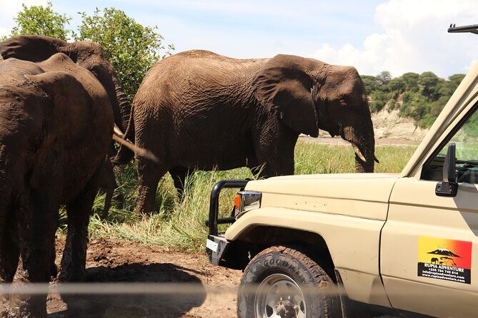 5 Days Private Safari- Tarangire, Serengeti, Ngorongoro & Manyara - Tarangire National Park: baobabs, the Tarangire River, and elephant herds
