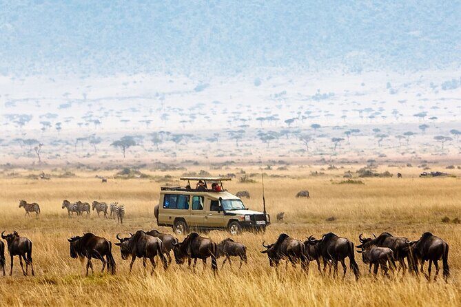 5-Days Private Safari Tour in Trangire, Serengeti, and Ngorongoro Crater - Key highlights I’d write on your packing list